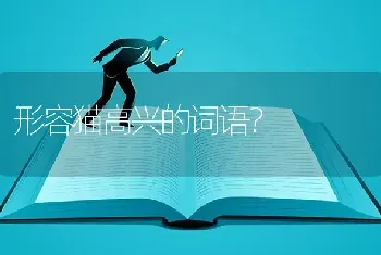 形容猫高兴的词语？