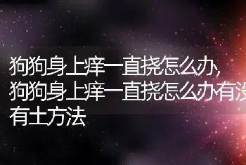 狗狗身上痒一直挠怎么办，狗狗身上痒一直挠怎么办有没有土方法