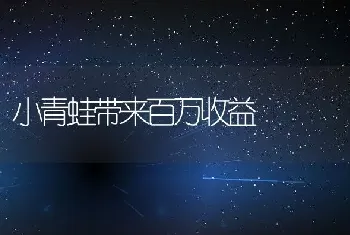 小青蛙带来百万收益