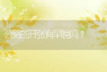 公貉的开张有早晚吗？