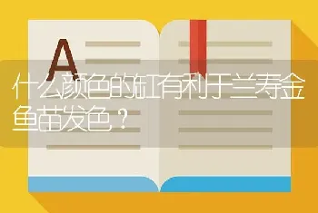 什么颜色的缸有利于兰寿金鱼苗发色？