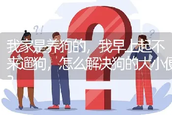 我家是养狗的，我早上起不来遛狗，怎么解决狗的大小便？