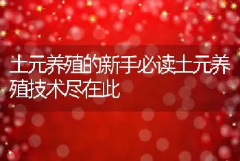 土元养殖的新手必读土元养殖技术尽在此