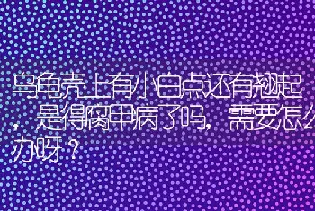 乌龟壳上有小白点还有翘起，是得腐甲病了吗，需要怎么办呀？