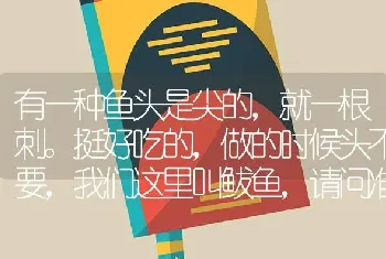 有一种鱼头是尖的，就一根刺请问准确的应该叫什么呀？