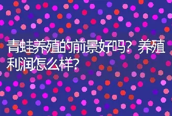 青蛙养殖的前景好吗？养殖利润怎么样？