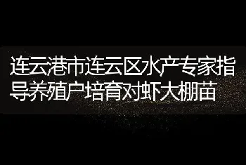 连云港市连云区水产专家指导养殖户培育对虾大棚苗