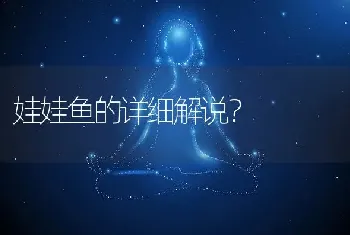 娃娃鱼的详细解说？