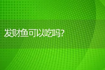 发财鱼可以吃吗？