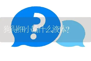 狗得细小输什么液体？