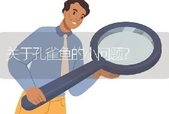 关于孔雀鱼的小问题？