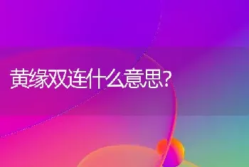 黄缘双连什么意思？