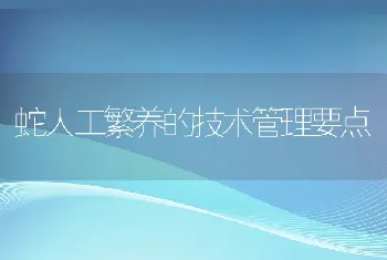 蛇人工繁养的技术管理要点