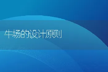 液体饲料制造工艺及在反刍动物中的应用