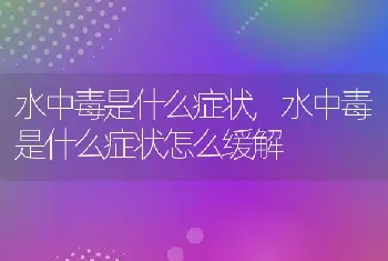 水中毒是什么症状，水中毒是什么症状怎么缓解