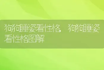 狗狗睡姿看性格，狗狗睡姿看性格图解