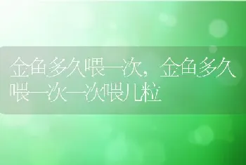 金鱼多久喂一次，金鱼多久喂一次一次喂几粒