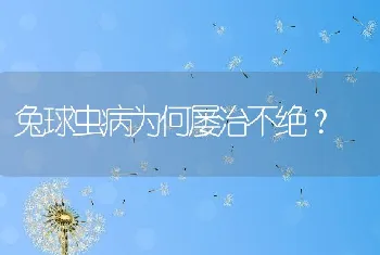 南美白对虾双茬养殖技术