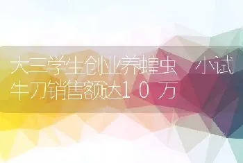 大三学生创业养蝗虫 小试牛刀销售额达10万