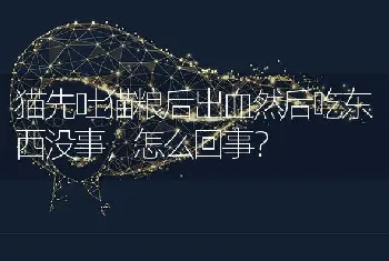 猫先吐猫粮后出血然后吃东西没事，怎么回事？