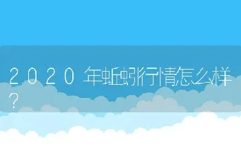 2020年蚯蚓行情怎么样？