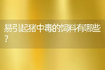 易引起猪中毒的饲料有哪些？