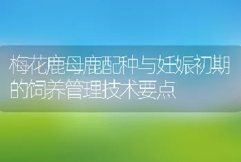 梅花鹿母鹿配种与妊娠初期的饲养管理技术要点