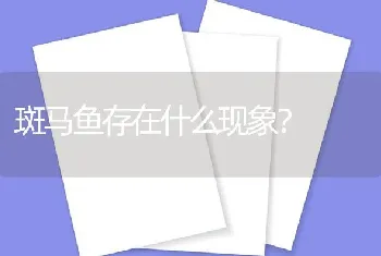 斑马鱼存在什么现象？