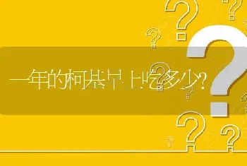 一年的柯基早上吃多少？