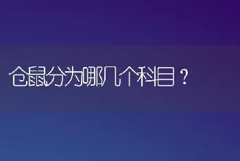 乌龟进食四种方法？