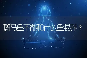 孔雀鱼针尾怎么治？