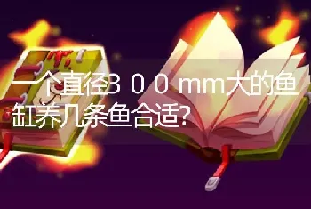 一个直径300mm大的鱼缸养几条鱼合适？