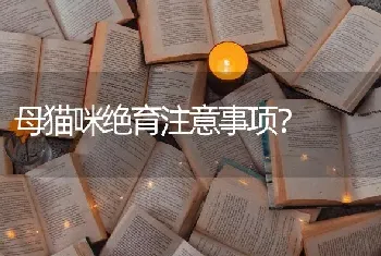 两个月的猫咪需要绝育吗？