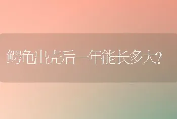 鳄龟出壳后一年能长多大？