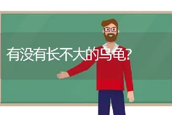 有没有长不大的乌龟？