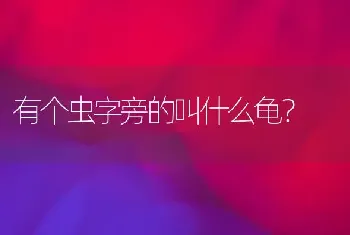 泰迪和萨摩耶两个狗狗一起养会有问题吗？