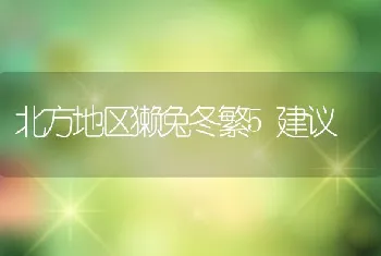 北方地区獭兔冬繁5建议