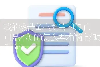 我的热带鱼小斑马下卵了，可是不知道怎么弄才能让卵成活啊？