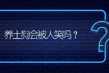 养土狗会被人笑吗？