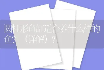 圆柱形鱼缸适合养什么样的鱼？（详解）？