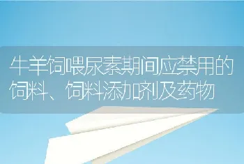 牛羊饲喂尿素期间应禁用的饲料、饲料添加剂及药物