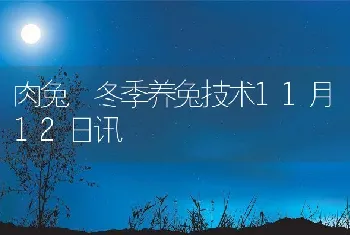 肉兔冬季养兔技术11月12日讯