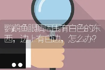 鹦鹉鱼眼睛周围有白色的东西，边上有白边，怎么办？