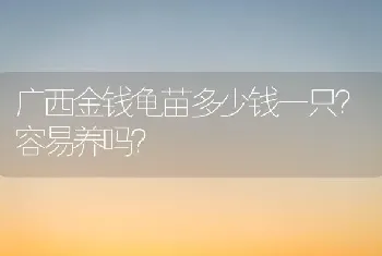 广西金钱龟苗多少钱一只？容易养吗？