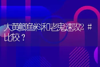 大黄鲫鱼料和老鬼速攻2#比较？