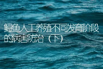 鲟鱼人工养殖不同发育阶段的病害防治（下）