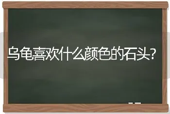 乌龟喜欢什么颜色的石头？