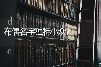 布偶名字独特小众？