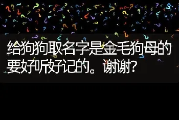 给狗狗取名字是金毛狗母的要好听好记的。谢谢？