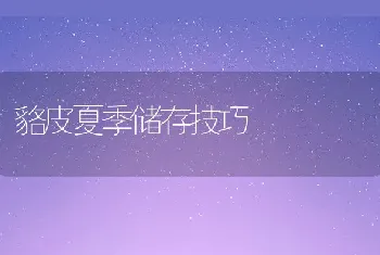 貉皮夏季储存技巧